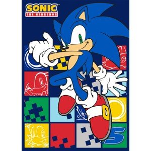 Dětská fleecová deka Polar JEŽEK SONIC 100x140 cm modrá