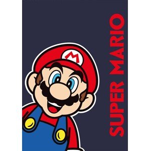 Fleecová deka POLAR SUPER MARIO II. 100x140 cm modrá