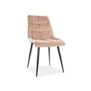 Čalouněná jídelní židle Chic Velvet - výber z 11 prevedení