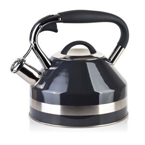 Rychlovarná konvice GEORG GREY 2,0 l šedá/stříbrná