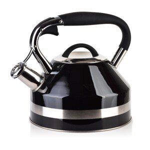 Rychlovarná konvice GEORG BLACK 2,0 l černá/stříbrná