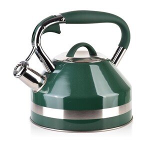 Rychlovarná konvice GEORG GREEN 2,0 l zelená/stříbrná