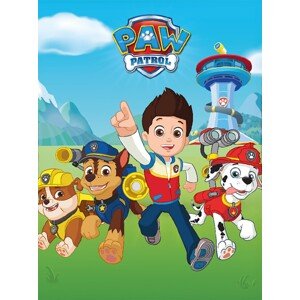 Dětská fleecová deka POLAR PAW PATROL BOY 100x140 cm modrá