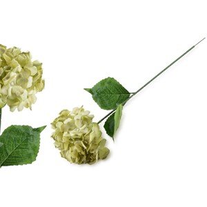 Umělá květina VIRIDIS HORTENSIA 73 cm bílá/zelená