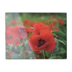 Skleněné krájecí prkénko Aria POPPY 30x40 cm červené