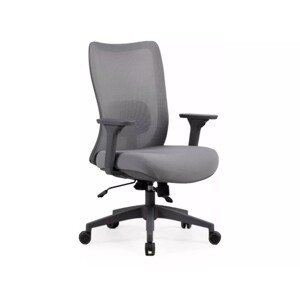 Kancelářská židle Spinor šedá