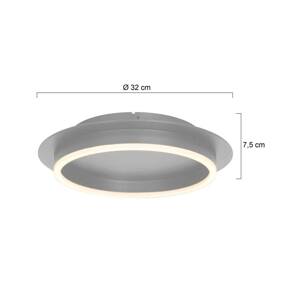 Stropné svietidlo Ringlux LED, oceľová farba, Ø 32 cm, kov