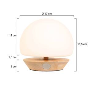 Stolná lampa Ancilla, drevo, sklo, buk, opálová biela, pätica G9