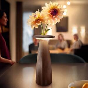 Nuflair LED dobíjacia stolná lampa, IP54, CCT, stmievateľná