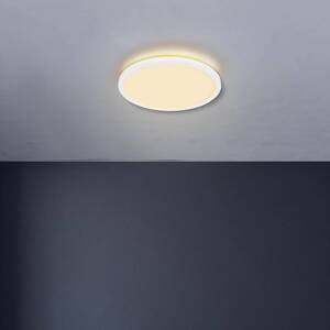 LED stropné svietidlo Sapana, biele, Ø 42 cm, plast, IP44
