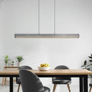 LED závesné svietidlo Ethan, sivá, kov, 150 cm, výsuvné